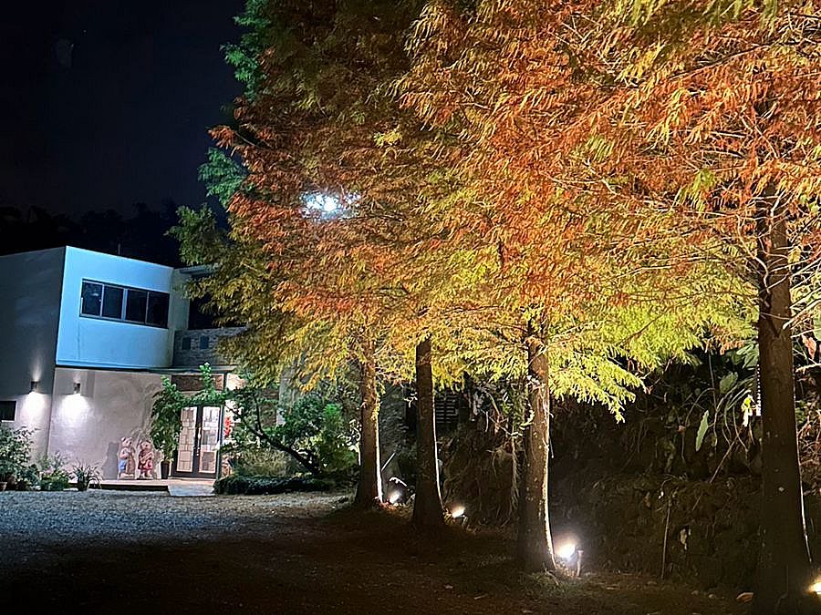 山林別苑 山林別苑全雙人房包棟(20~30人包棟)