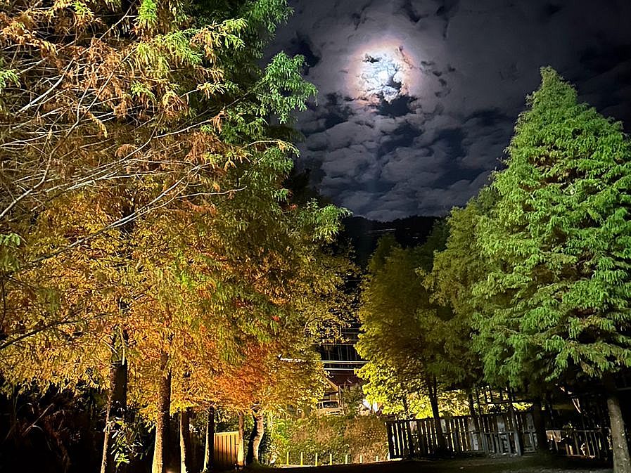 山林別苑 不用開車就可看到螢火蟲